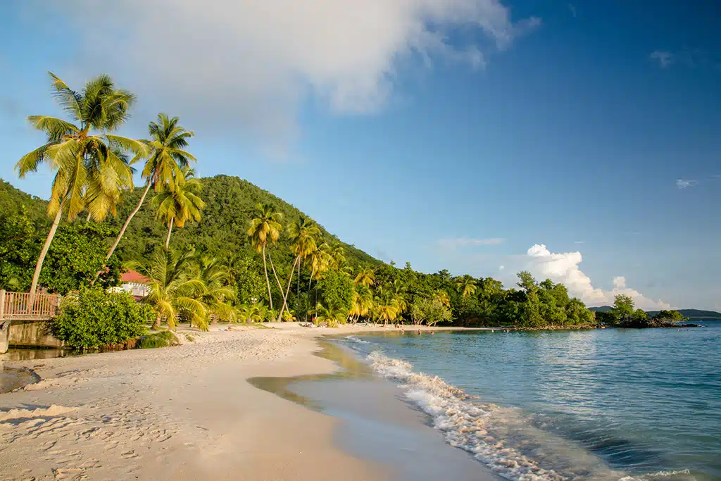Les clés pour réussir son investissement immobilier en Martinique